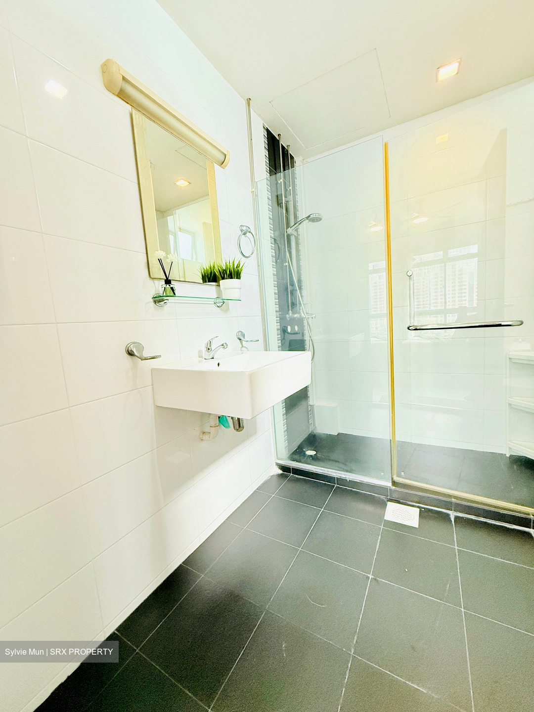 Indus Road (D3), Condominium #565709451